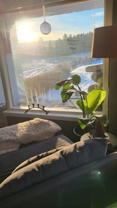 Skogro Ved Norefjell Noresund Bagian luar foto