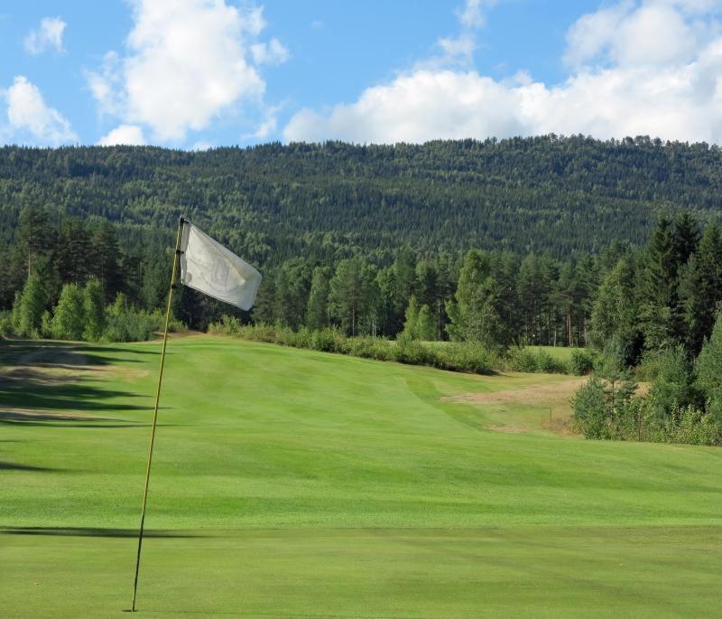 Skogro Ved Norefjell Noresund Bagian luar foto